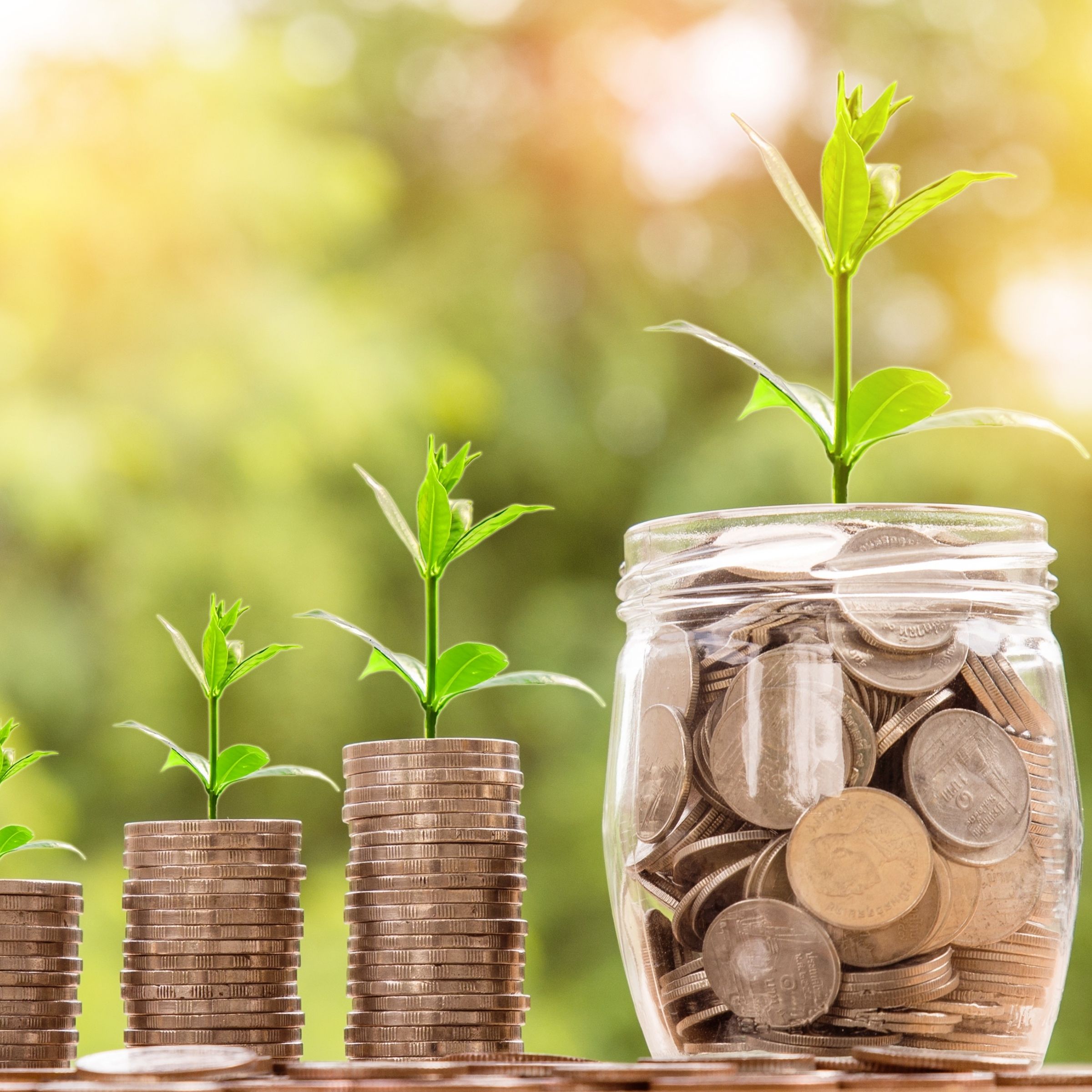 Financial Aid paideia foundation
