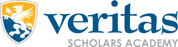 vsa logo